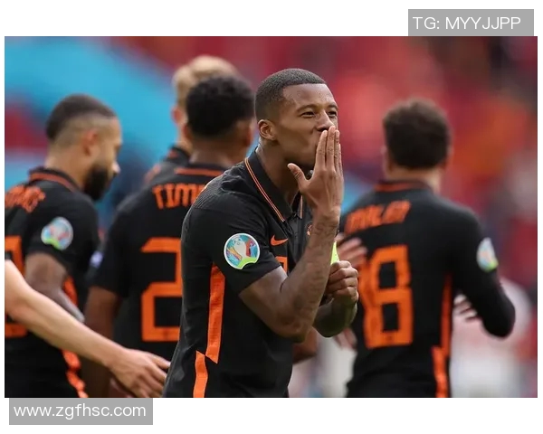 加纳尔足球明星盘点与成就分析探讨